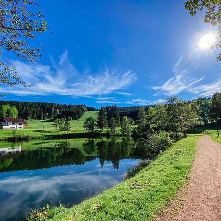 Ferienwohnung "Am Skilift" Herrischried Экстерьер фото