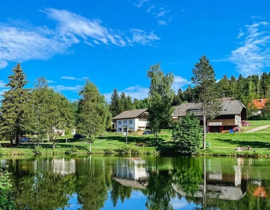 Ferienwohnung "Am Skilift" Herrischried Экстерьер фото