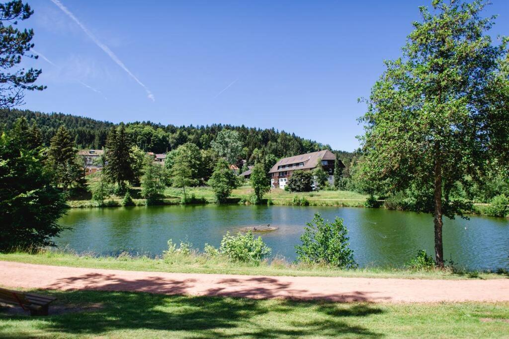 Ferienwohnung "Am Skilift" Herrischried Экстерьер фото