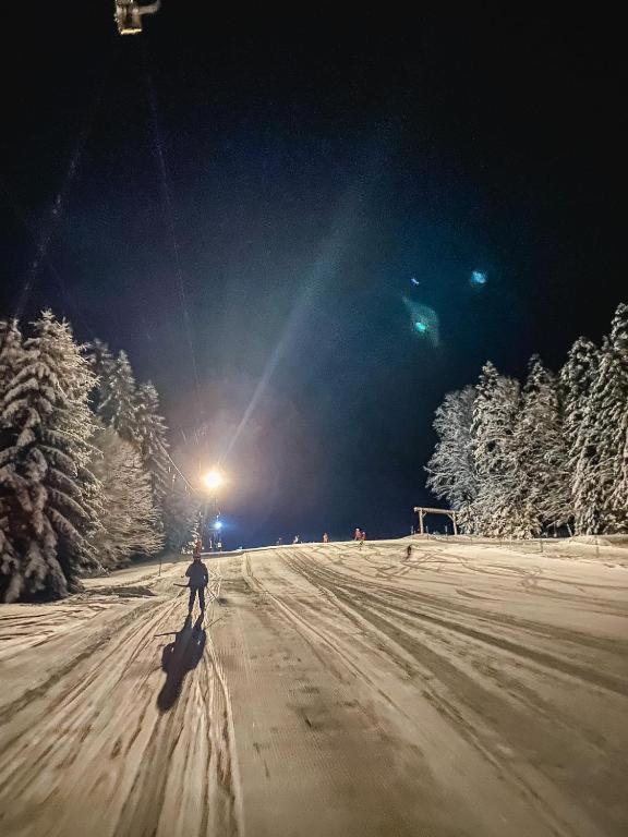 Ferienwohnung "Am Skilift" Herrischried Экстерьер фото