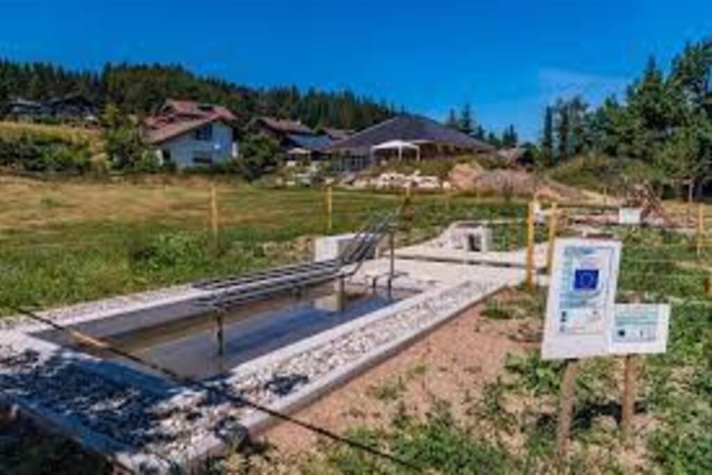 Ferienwohnung "Am Skilift" Herrischried Экстерьер фото