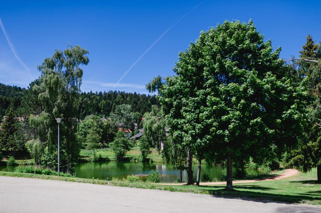 Ferienwohnung "Am Skilift" Herrischried Экстерьер фото