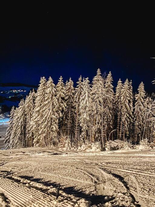 Ferienwohnung "Am Skilift" Herrischried Экстерьер фото