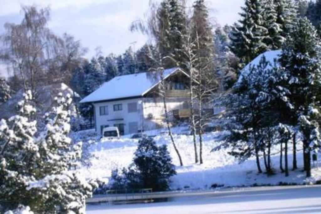 Ferienwohnung "Am Skilift" Herrischried Экстерьер фото