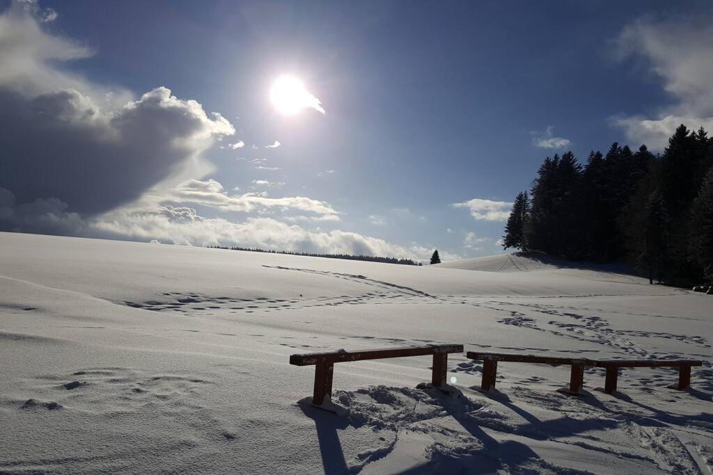 Ferienwohnung "Am Skilift" Herrischried Экстерьер фото