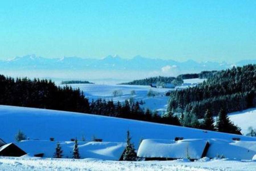 Ferienwohnung "Am Skilift" Herrischried Экстерьер фото