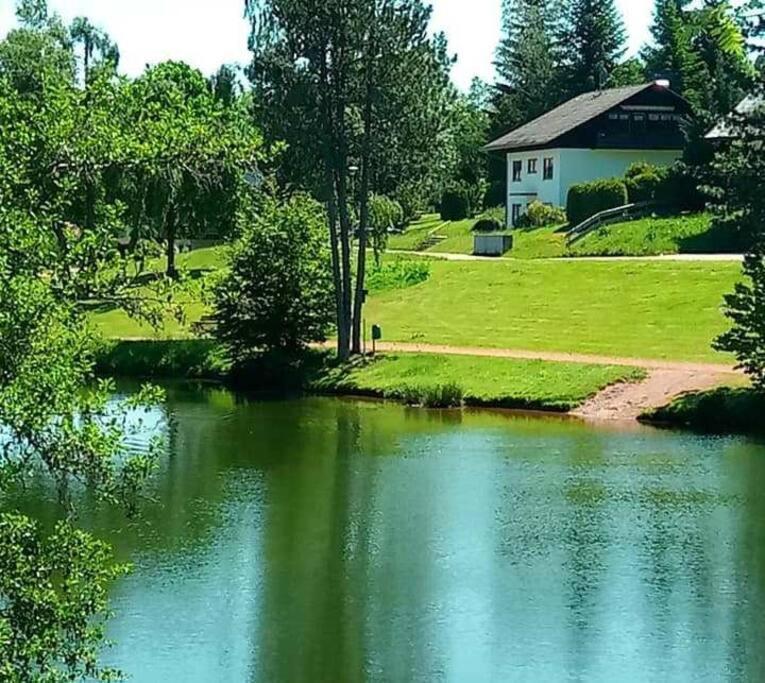 Ferienwohnung "Am Skilift" Herrischried Экстерьер фото