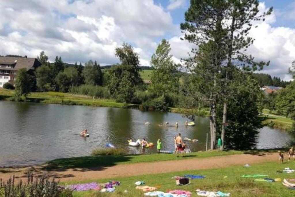 Ferienwohnung "Am Skilift" Herrischried Экстерьер фото