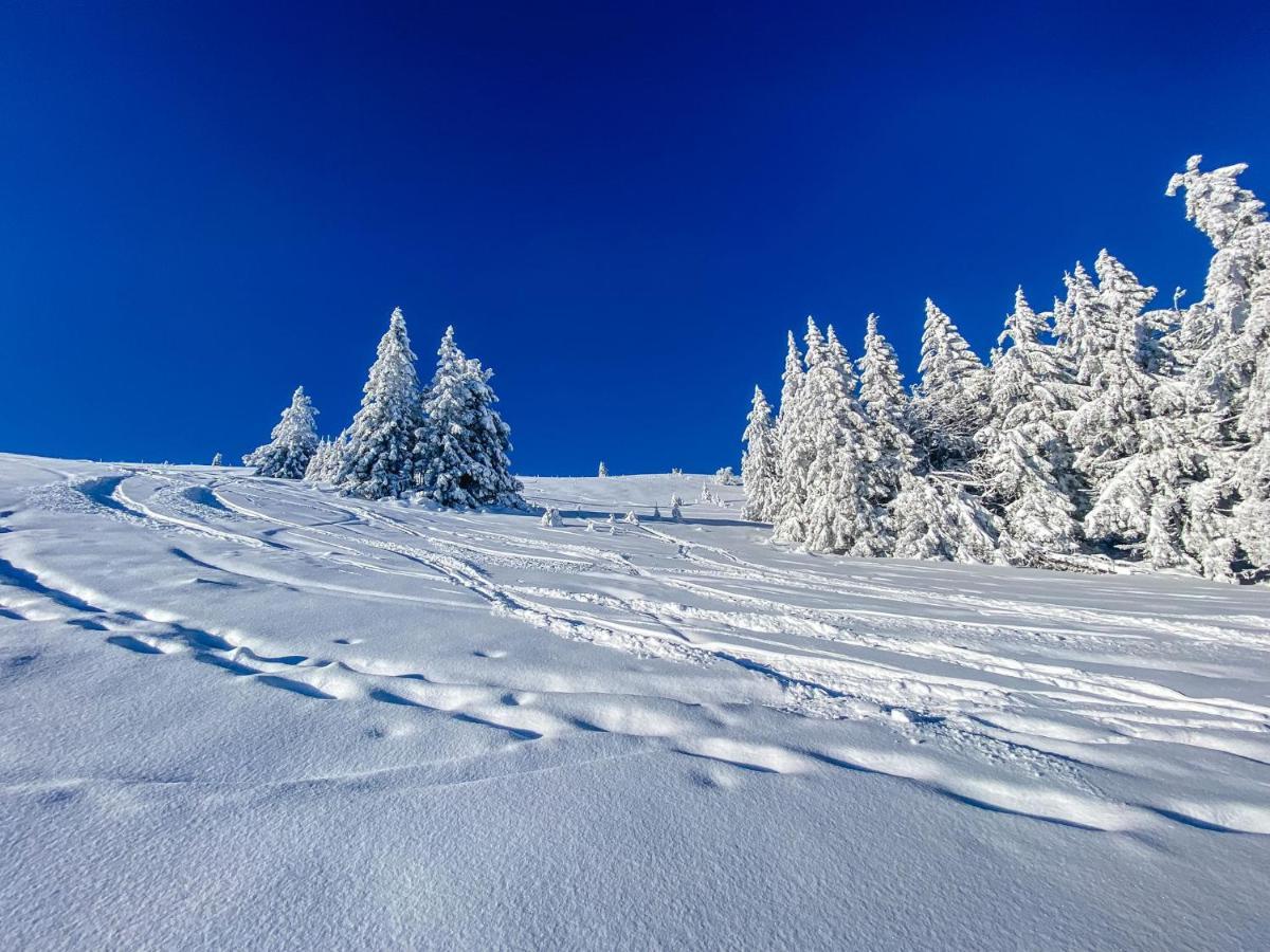 Ferienwohnung "Am Skilift" Herrischried Экстерьер фото