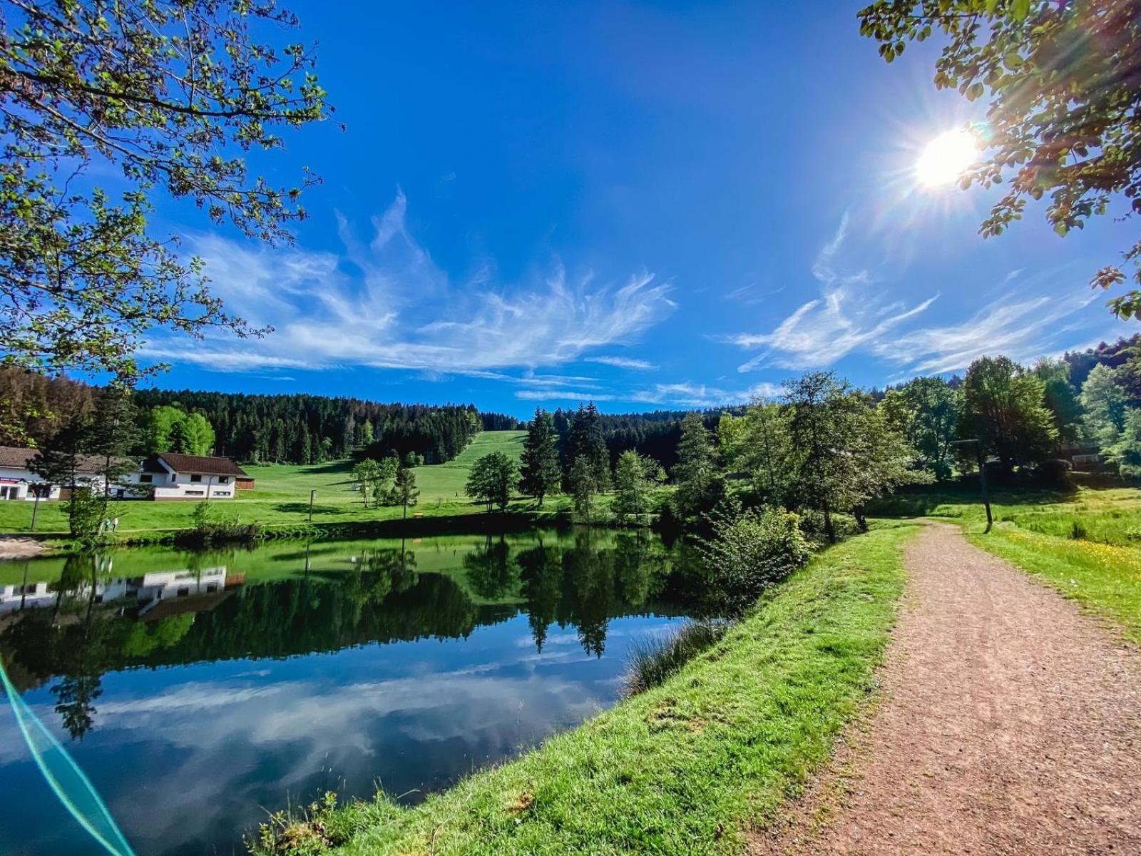 Ferienwohnung "Am Skilift" Herrischried Экстерьер фото